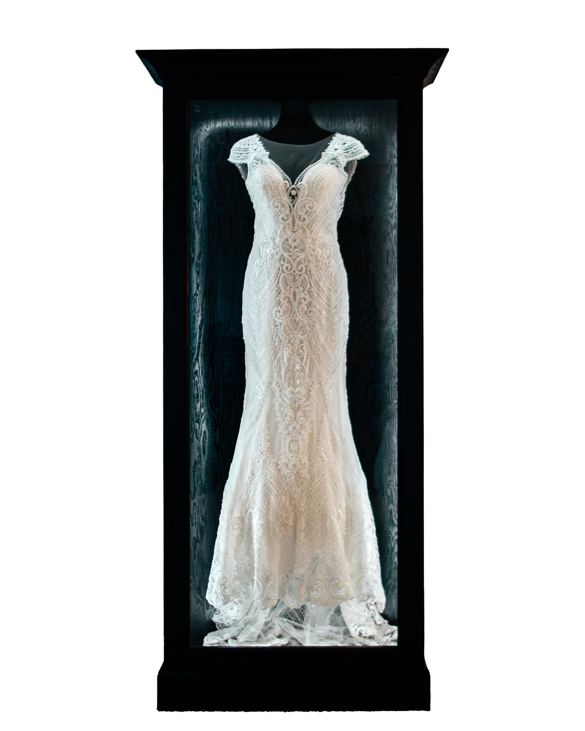 Mrs. Case - Wedding Dress Display & Protection Case